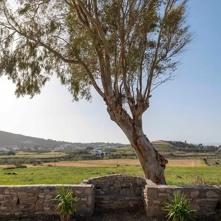 Myrsini Traditional Hillside Holiday home *